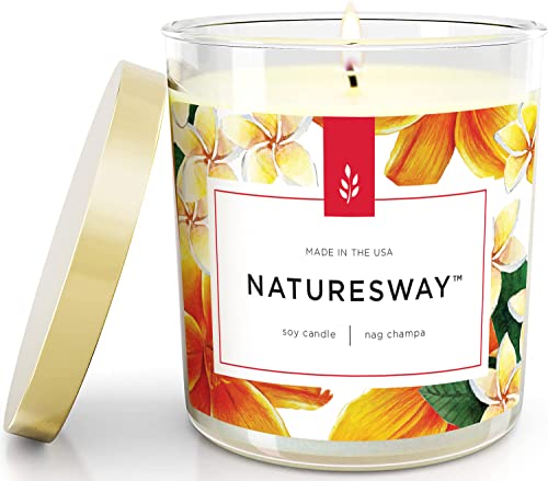 Stillwater Bath And Body Nag Champa Odor Eliminating Scented Candle For Home - Non-Toxic, Long Lasting, All Natural Soy Wax Candle - 12.5 Ounce Jar With Lid - Handmade In The Usa #TOP11