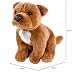 Teddys Rothenburg Pitbull/American Staffordshire Terrier sitzend 30 cm braun Kuscheltier Hund