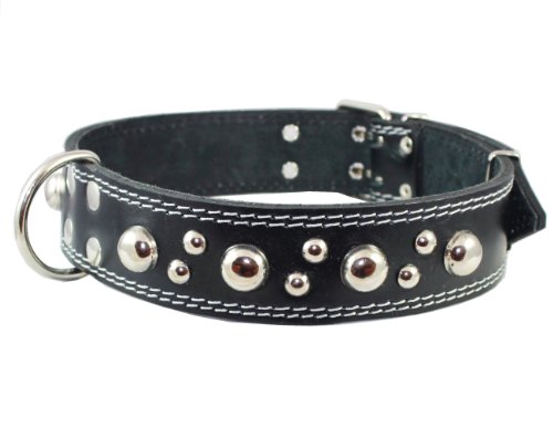 Collier en cuir large pour grand chien type Grand Danois robuste Dogs My Love