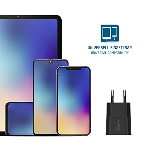 Cargador USB con control de carga inteligente Ansmann pack doble seguro 3