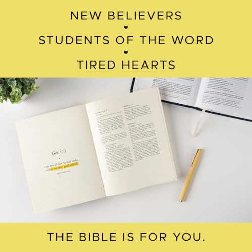 Image of The Bible Is for You: A Devotional Journey Through Every Book of the Bible