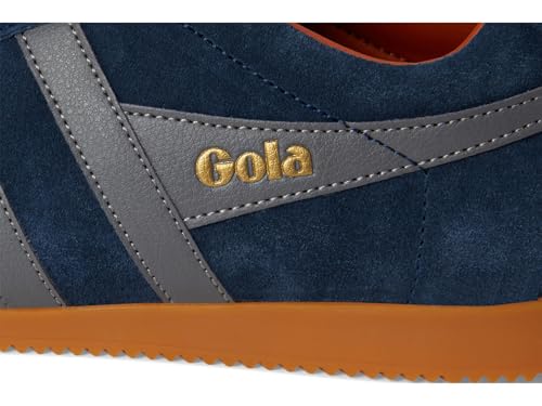 Image of Gola Harrier