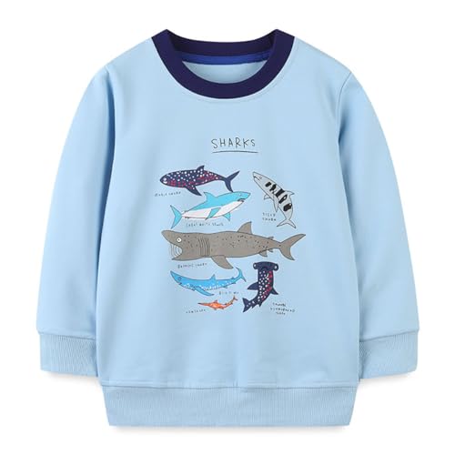 Boys Sweatshirts Long Sleeve Sweatshirts T-shirts Crew Neck Cotton Casual Sweatshirts Cartoon Tops for Boys-148
