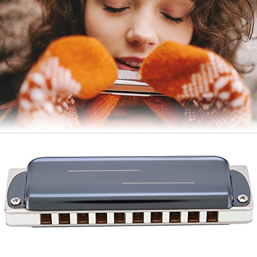 HOLPPO Harmonica pour Enfants,10 Trous e Key Mini Blues Harmonica avec Étui et Chiffon pour Enfants Adultes Étudiants… - Les Beatles, Paul McCartney, John Lennon, RIngo Starr, George Harrison HOLPPO Harmonica pour Enfants,10 Trous e Key Mini Blues Harmonica avec Étui et Chiffon pour Enfants Adultes Étudiants… – Image 4