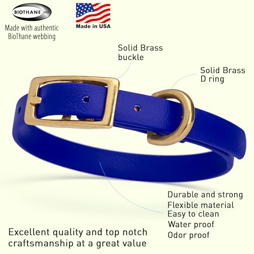Image of Viper Biothane Heavy Duty Waterproof Dog Collar Strong Coated Nylon Webbing w /Solid Brass Hardware Odor-Proof Easy to Clean High Performance Fits Small Medium or Large Dogs, Blueberry Royal