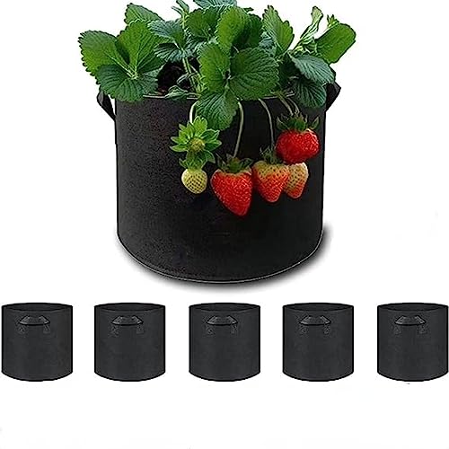 Jinmoioy sDzv^[ ͔| z 5Zbg tFg A A琬  ʋC diy | t ԍ͔| ؍͔| |ʕ͔| 搧 ƒ؉ɍœK ubN (5K 30cma25cm)