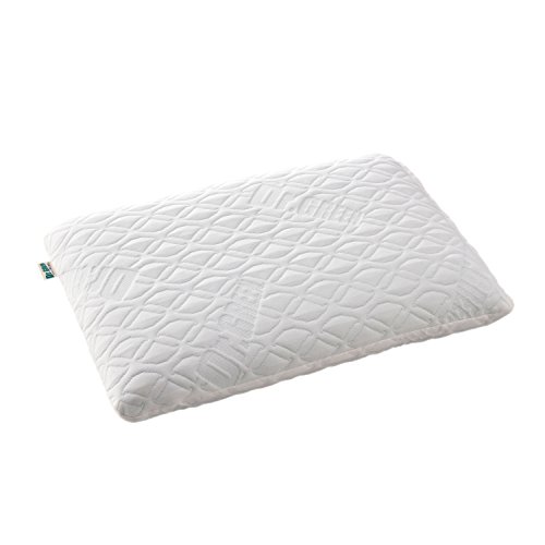 [˂ނ̕]  ܂ hN^[O[ Dr.Green Vo WF܂ 36×55×11cm eZ  傫TCY R hL Jo[O\ G Ȃ߂炩  ᔽ  CG WF