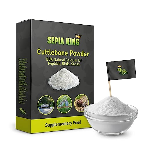 Unlock the Secret to Strong and Healthy Bearded Dragons Top 10 Calcium