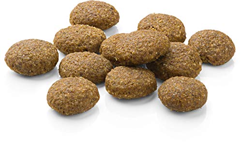 MERA Pure Sensitive Adult Lamm und Reis Hundefutter – Trockenfutter für die tägliche Ernährung nahrungssensibler Hunde & Pure Sensitive Adult Lachs und Reis Hundefutter – Trockenfutter