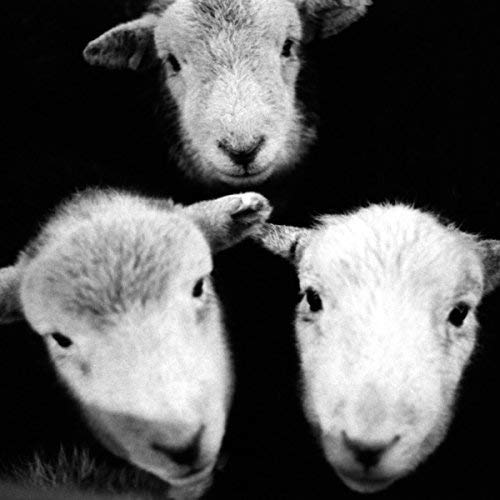 Preacher [Disco de Vinil]