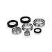 Quadboss Differential Bearing Kit (Rear) Compatible with 00-06 Honda TRX350R4ES