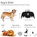 Legendog , Halloween , Pet Costume, Bat Wings for Dogs with Dog Leash and Pumpkin Bells