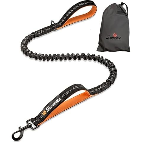 Sweetie Bungee Dog Lead with Comfort Features Cover