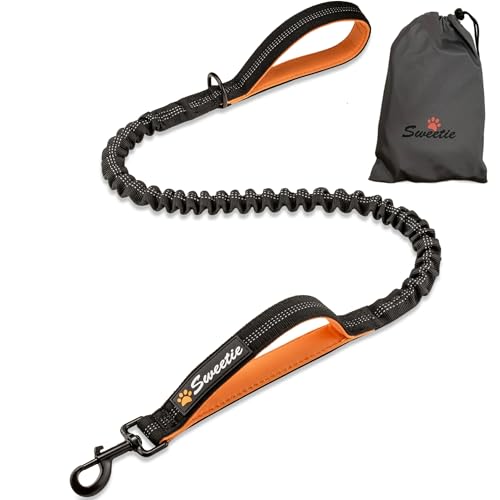 Sweetie Bungle Laisse Chien Bungee – Amortisseur Anti Traction, Double Poignée Traffic Handle, Réglable 100–150 cm – Laisse Chien Réfléchissante pour...