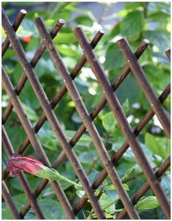 JARDIN202 - Extendable Wicker Trellis 1x2 Meters - Enhance Your Garden in Style | Without Decorative Sheet -