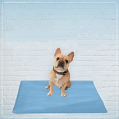 Image of Trance Trance Home Linen Medium Size Pet Sheet / Size - (100cmx70cm) 100% Waterproof with Airflow Technology, Soft, Hypo-Allergenic, Washable Pet Dry Sheet, Potty Trainer, Sky Blue