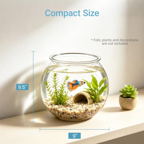 Image of Koller Products 1-Gallon Plastic Round Fish Bowl, Hospital Fish Tank for Betta Guppy Tetra Zebrafish Shrimp, Temporary Tank for Fry, Isolation, Fish Breeding, Classroom Education and Decoration