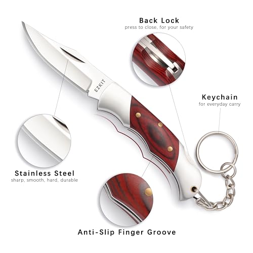 Image of Folding Pocket Knife with Back lock, 2in Stainless Blade and Rosewood Handle, 4.8in Total Length, Compact EDC Gear