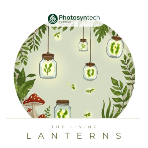 The Living Lanterns: Bio-lighting for a Brighter Tomorrow