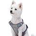 Blueberry Pet 9 Colors Soft & Comfy 3M Reflective Multi-colored Stripe Padded Dog Harness Vest, Chest Girth 22"-26.5", Neck 17.5"-26", Violet & Celeste, Medium, Mesh Harnesses for Dogs
