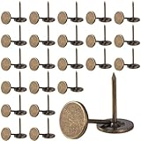 BEIQIYA 100pcs Metal Thumb Tacks, Heavy Duty Flat Head Push Pins, Upholstery Tacks for Fixing Photos Notes Maps Wall Decorations Home Decor- Bronze