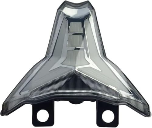 Luz trasera para Kawasaki Ninja ZX-25R ZX250 2020-2023 integrada