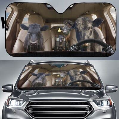Pare-brise voiture universelle protection étanche et pare-soleil auto camion taille M