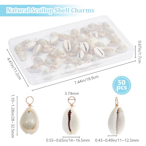 Beebeecraft 1 Box 50Pcs 18K Gold Plated Natural Scallop Shell Pendants Sea Beach Seashells Cowrie Shell Pendant Charms for Jewellery Making DIY Bracelet Necklace Earrings - Image 2