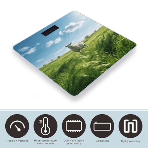 Báscula Digital Green Prairie Stroll, Hasta 180 kg miniatura 3