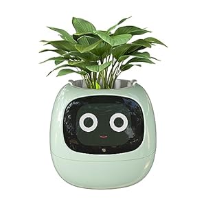 Masdio Smart Flowerpots, with Artificial Intelligence, Time Temperature Display, and Numerous Expressive Animations Based On The Environment, for Interior Decoration (Green)