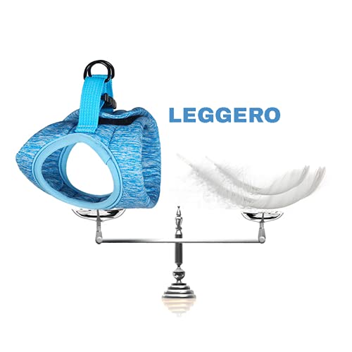 Crea CLEA- Pettorina per gatti ultra leggera e confortevole,con guinzaglio. Imbracatura gatto con guinzaglio gatto (L, Verde)