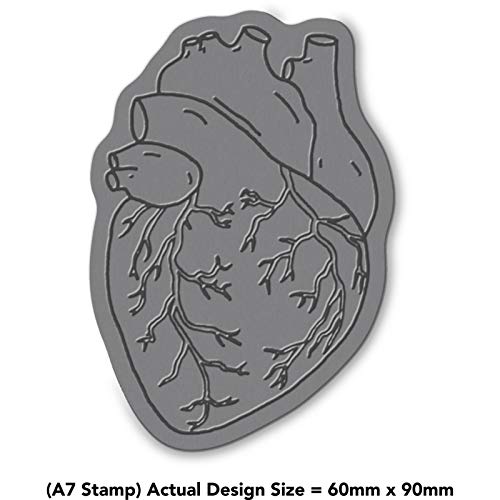 'Human Heart' Rubber Stamp - Unmounted Design for Crafting & Scrapbooking, A7 (RS00032382)