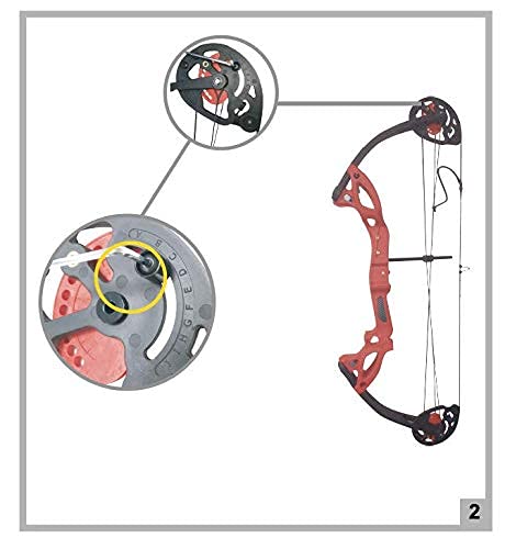 PANDARUS Compound Bow Archery for Youth and Beginner, Right/Left Handed,19”-28” Draw Length,15-29 Lbs Draw Weight, 260 fps, Package with Archery Hunting Equipment Carry Case(Pink Right Handed Pro)