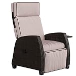 Reclining Patio Chairs Back
