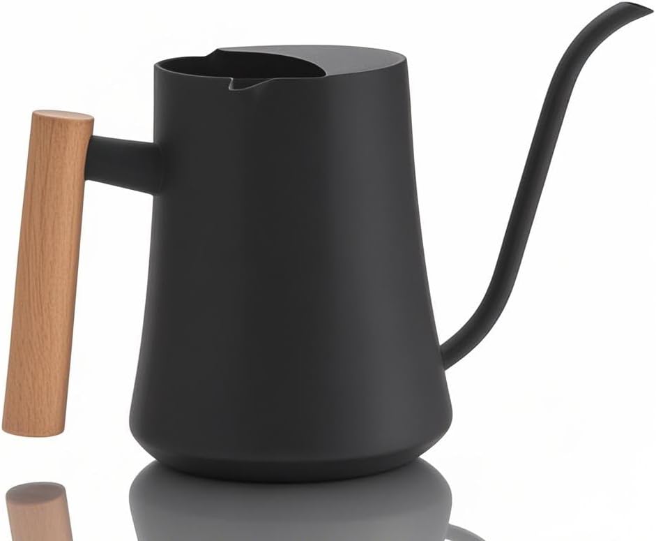 ZJchao Watering Can for Indoor Plants, 1000ML Retro Stainless Steel Plant Waterer with Long Spout for House Plants Bonsai Outdoor Garden Flower Decorative (Black)