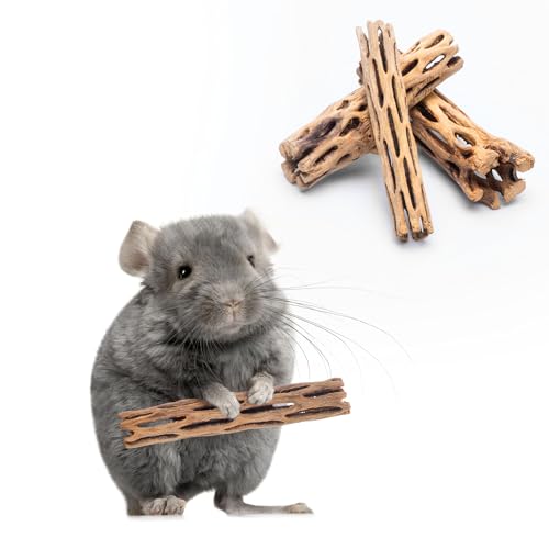 Natural Cholla Wood 6 Inch