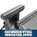 Wilton Mechanics Pro Bench Vise, 6-1/2