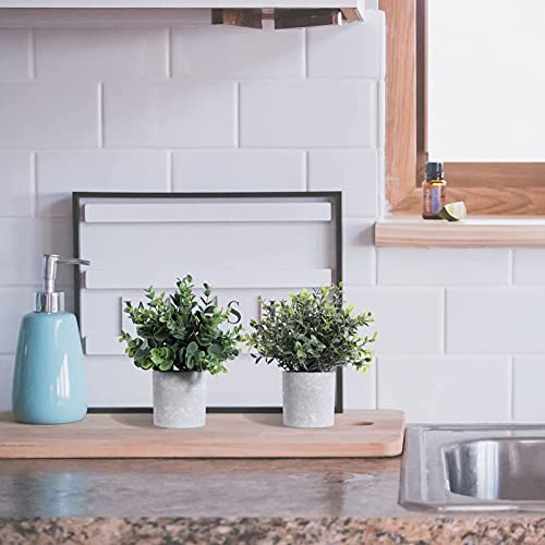 Mini Potted Artificial Plants Fake Desk Plants Fake Small Eucalyptus Greenery Plastic Faux Plants in Pots Artificial Plants indoor Decoration (set of 3)