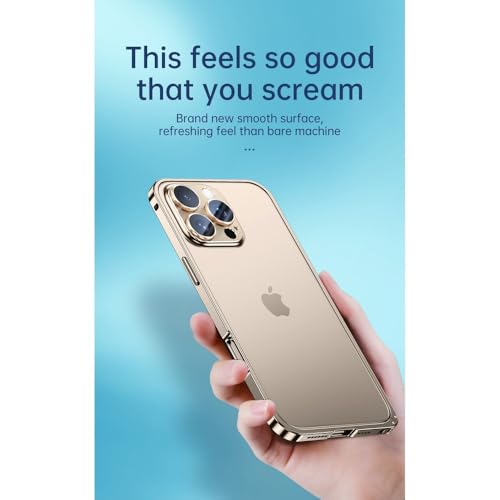 Coque de téléphone de luxe pour éviter les bris d'objectif sur iPhone