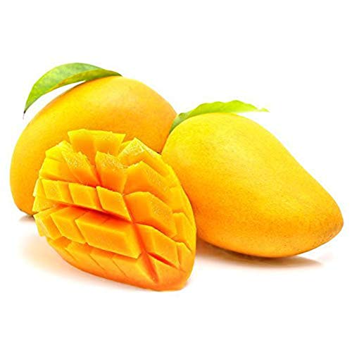 Shiningbaby 1pcs Mango Seeds Organic Heirloom Fruit Garden Farm Home Seed