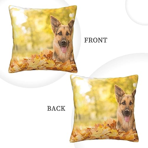 Housse de coussin berger allemand velours côtelé érable déco canapé chambre