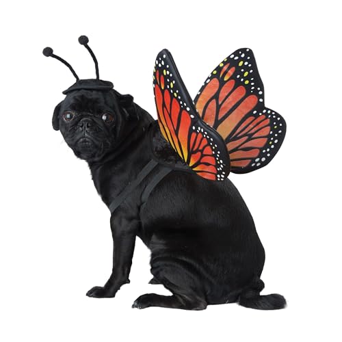 Calico, Monarch Butterfly Dog Costume Medium