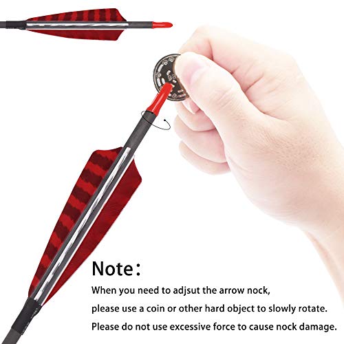 Pure Carbon Arrows 30 Inch 600 Spine Turkey Feather Fletching Screw-In Field Points Targeting Hunting Traditional Long Bow Arrows For Recurve Bow Compound Bow (Pack Of 6) #TOP3