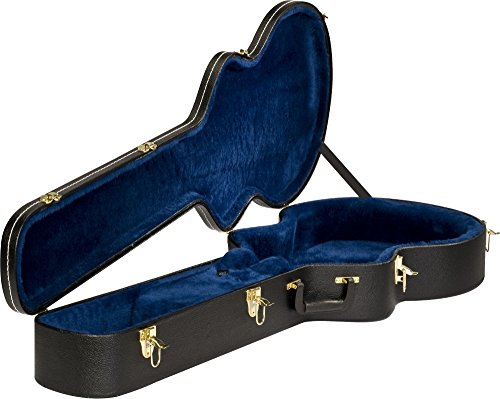 Ibanez AFB100C