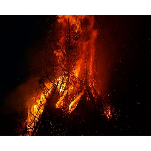 ADDBIBLE&reg; Exodus 3 - A Burning Bush