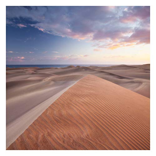 Preisvergleich Produktbild Vliestapete Dünenblick, HxB: 288cm x 288cm