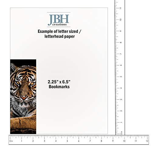Jbh Creations Around The World Animal Bookmarks - Pack Of 48 #TOP7