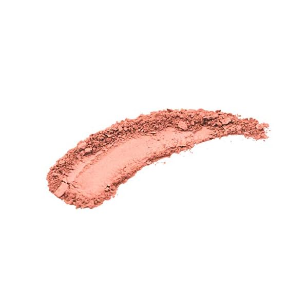 Neutrogena-Healthy-Skin-Powder-Blush-Makeup-Palette-Illuminating-Pigmented-Blush-with-Vitamin-C-and-Botanical-Conditioners-for-Blendable-Buildable-Application-10-Rosy19-oz Neutrogena Healthy Skin Powder Blush Makeup Palette, Illuminating Pigmented Blush with Vitamin C and Botanical Conditioners for Blendable, Buildable Application, 10 Rosy,.19 oz