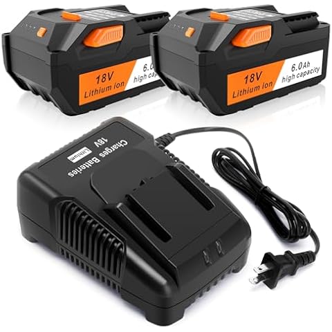 TREE.NB 2 Pack 6.0Ah 18V Battery Replacement for Ridgid Power Tool Battery with 18V Fast Charger Compatible R840087, R840083, R840085, R840086, AC840089, AC840085, AC840086, AC840087P Cover