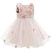 Monimo Baby Mädchen Prinzessin Kleid Taufkleid Festlich Kleid Hochzeit Partykleid Festzug Babybekleidung,Rosa2,20-26 Monate